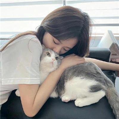 桐籽花开