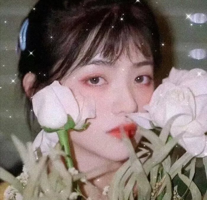 新闻女王国语
